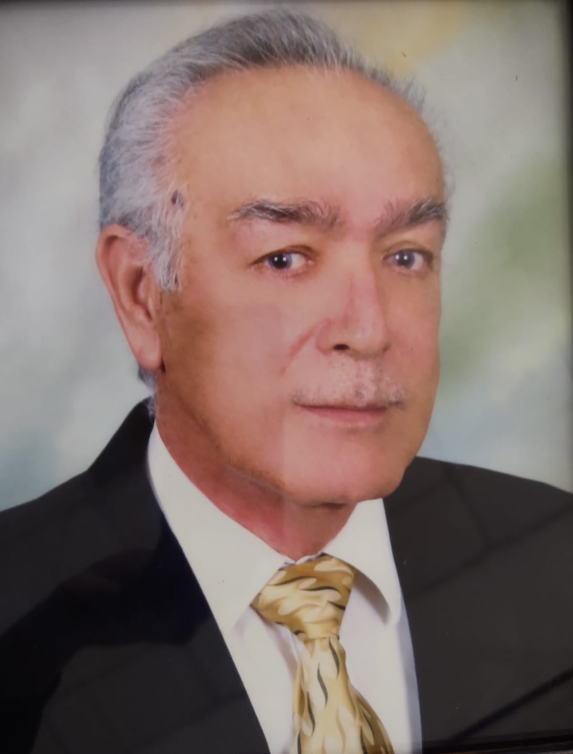 Guillermo<br/> Castro Peinado